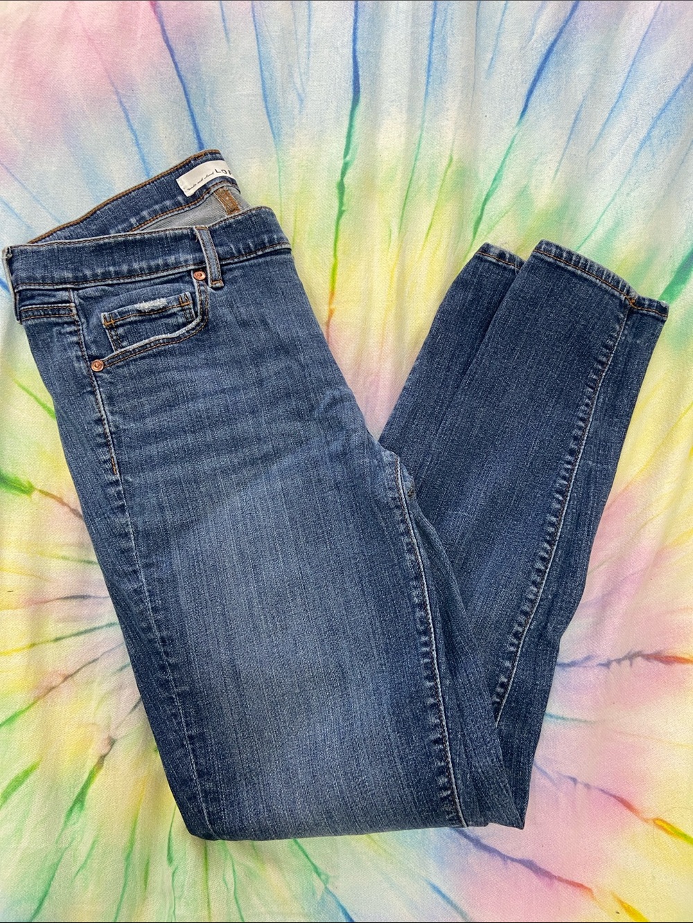 LOFT Skinny Jeans in Mid Blue Wash Lot 14
